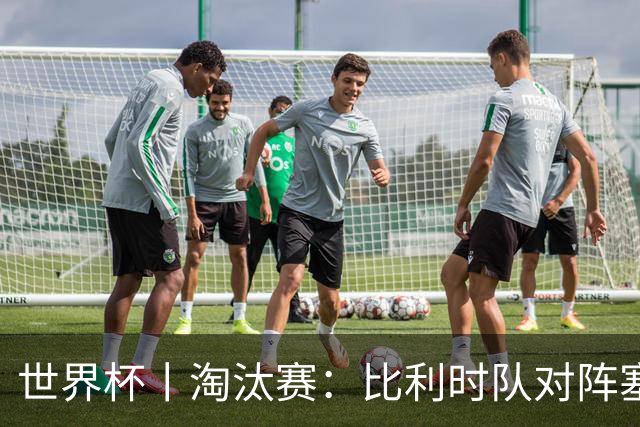 世界杯丨淘汰赛：比利时队对阵塞内加尔队