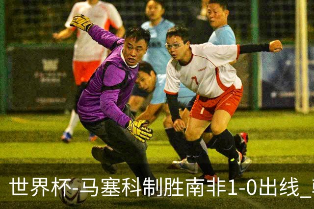 世界杯-马塞科制胜南非1-0出线 韩国积3分获小组第三待定