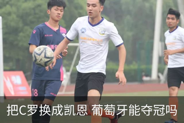 把C罗换成凯恩 葡萄牙能夺冠吗
