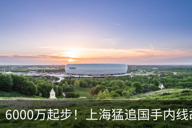 6000万起步！上海猛追国手内线胡金秋，CBA下赛季直接大结局？